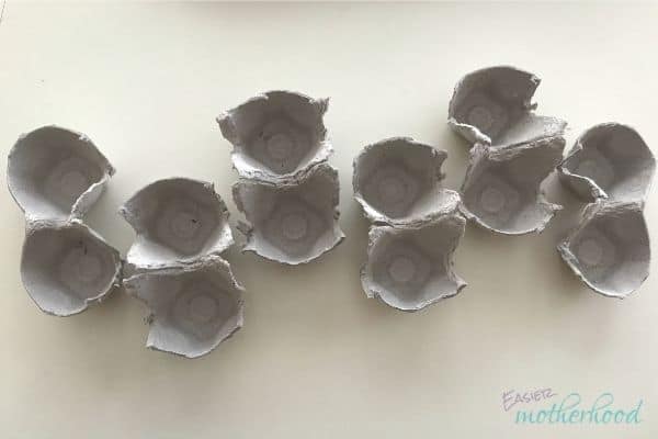 In process egg carton craft or activity after 4th cut