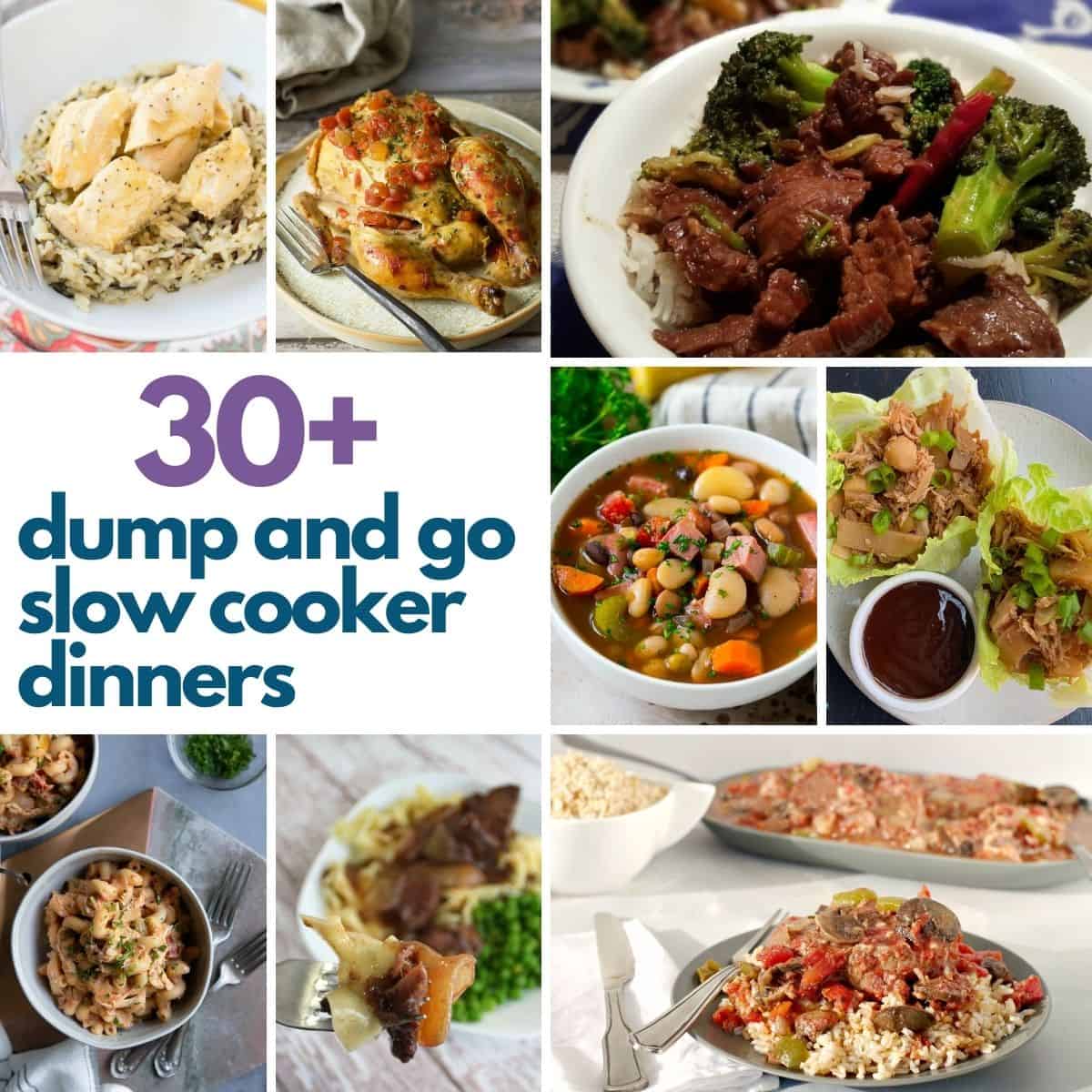 60+ Dump and Go Slow Cooker Meals - Eating on a Dime