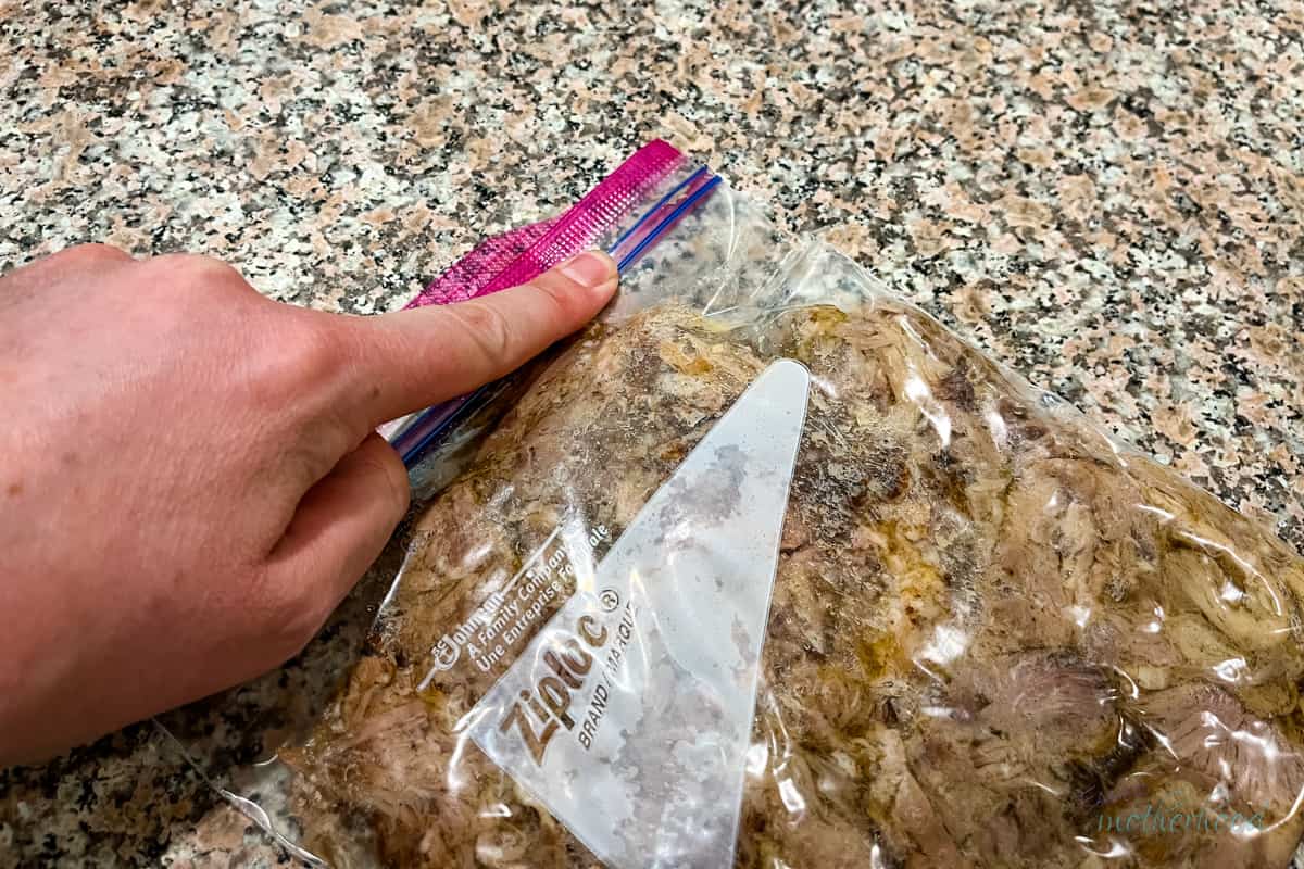 Squeezing excess air out of ziploc bag with pork