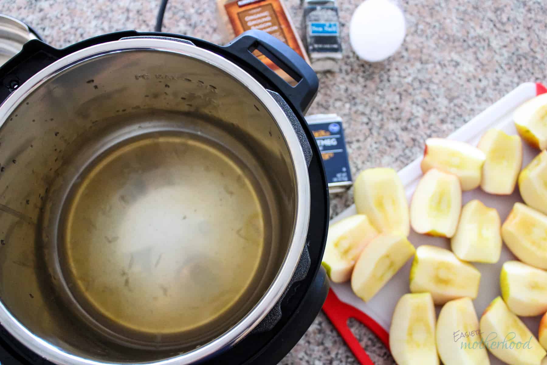 IP with lemon juice water and vanilla in it, and apples to the side