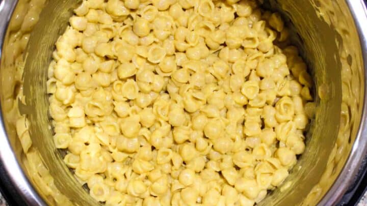 Finsihed cheddar shells in instant pot ready to serve.
