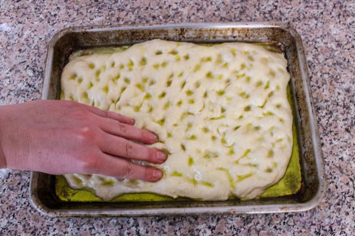 Risen pizza dough being dimpled by hand for a focaccia style finish.