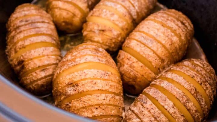 6 hasselback potatoes in an oval slow cooker after cooking.